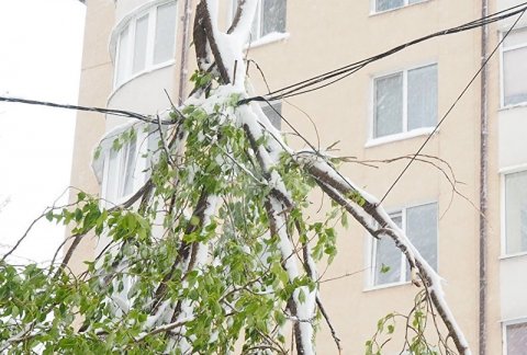 Мы пахали… Мы пахали…