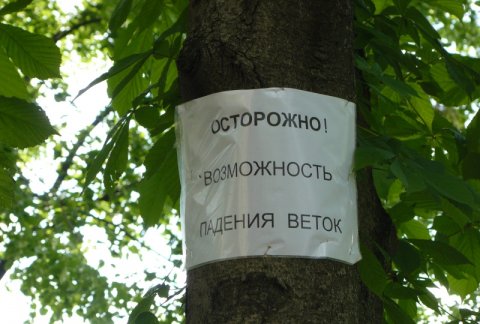 Неоконченный катаклизм Неоконченный катаклизм