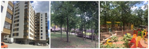 Luxul deputaților! Cum s-au îmbogății unii parlamentari pe durata celor patru ani de mandat