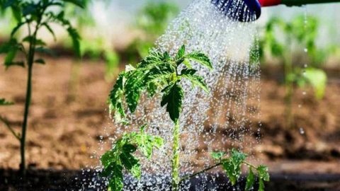 В Молдове вода подорожает на 50 процентов: Люди в шоке от озвученных тарифов